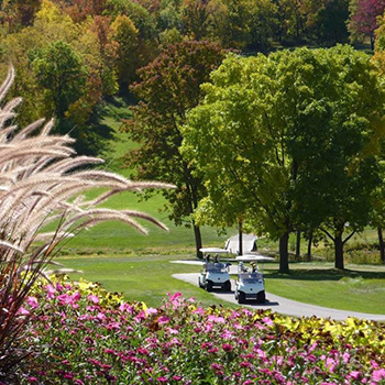 Random golf image for menu navigation